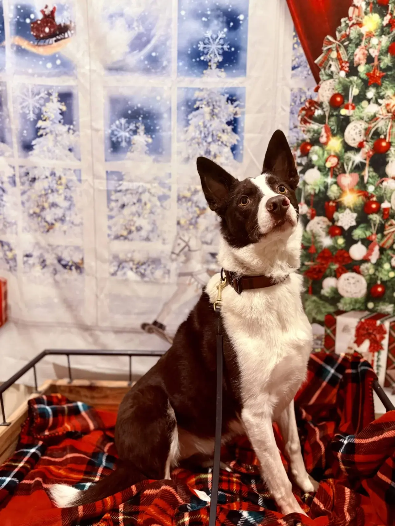 The beautiful and spacious facility at Come Sit & Stay